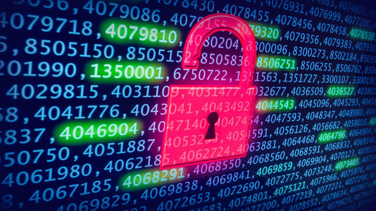 Data Breaches